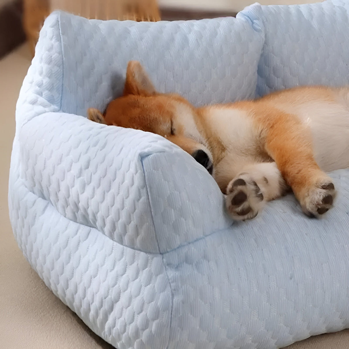 Avtoit | Washable Plush Pet Cushion Bed - CozyPaws