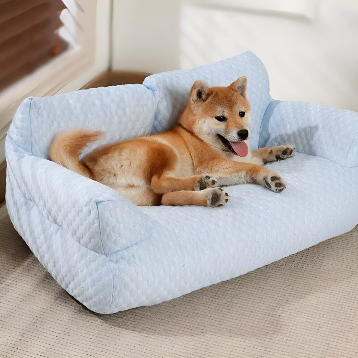 Avtoit | Washable Plush Pet Cushion Bed - CozyPaws