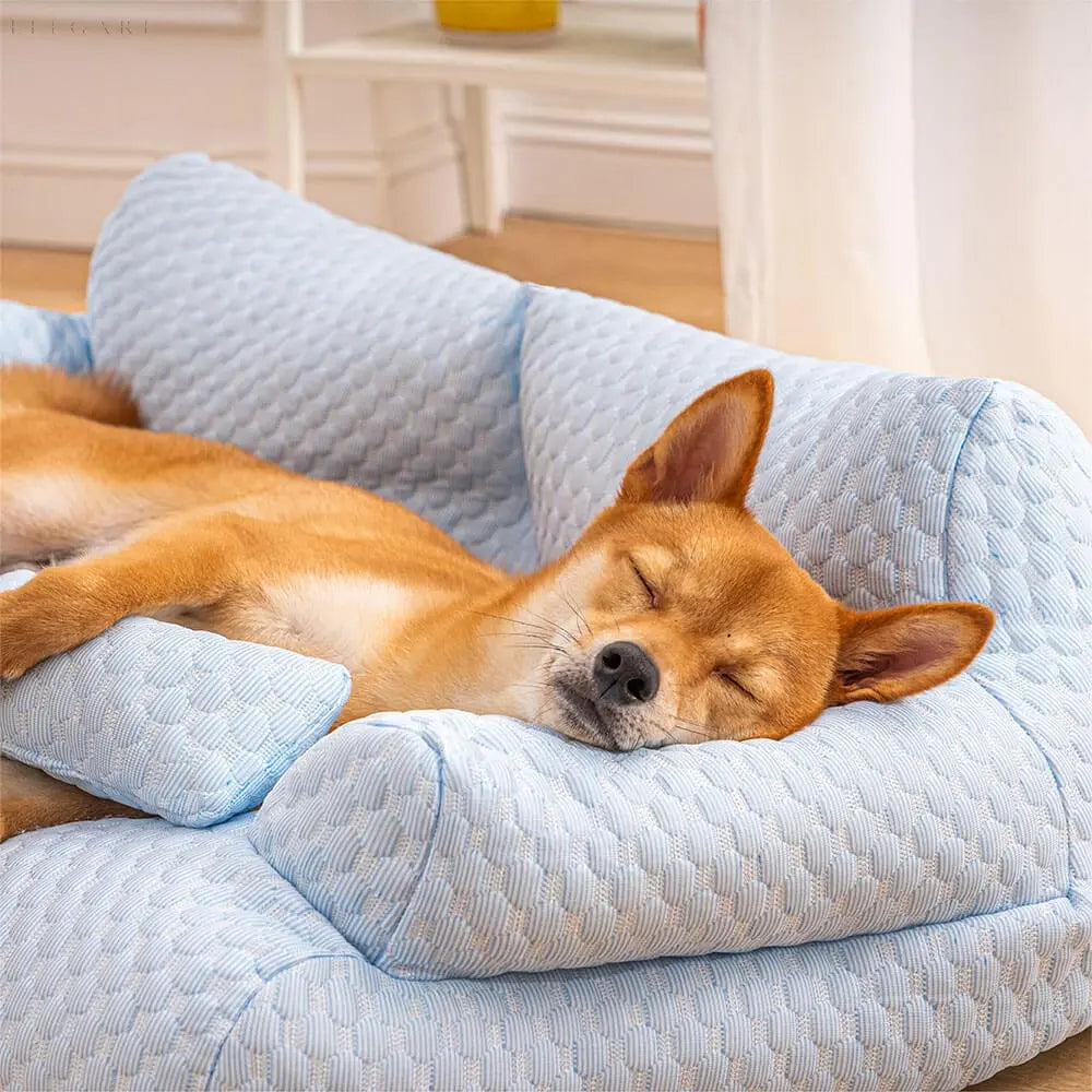 Avtoit | Washable Plush Pet Cushion Bed - CozyPaws