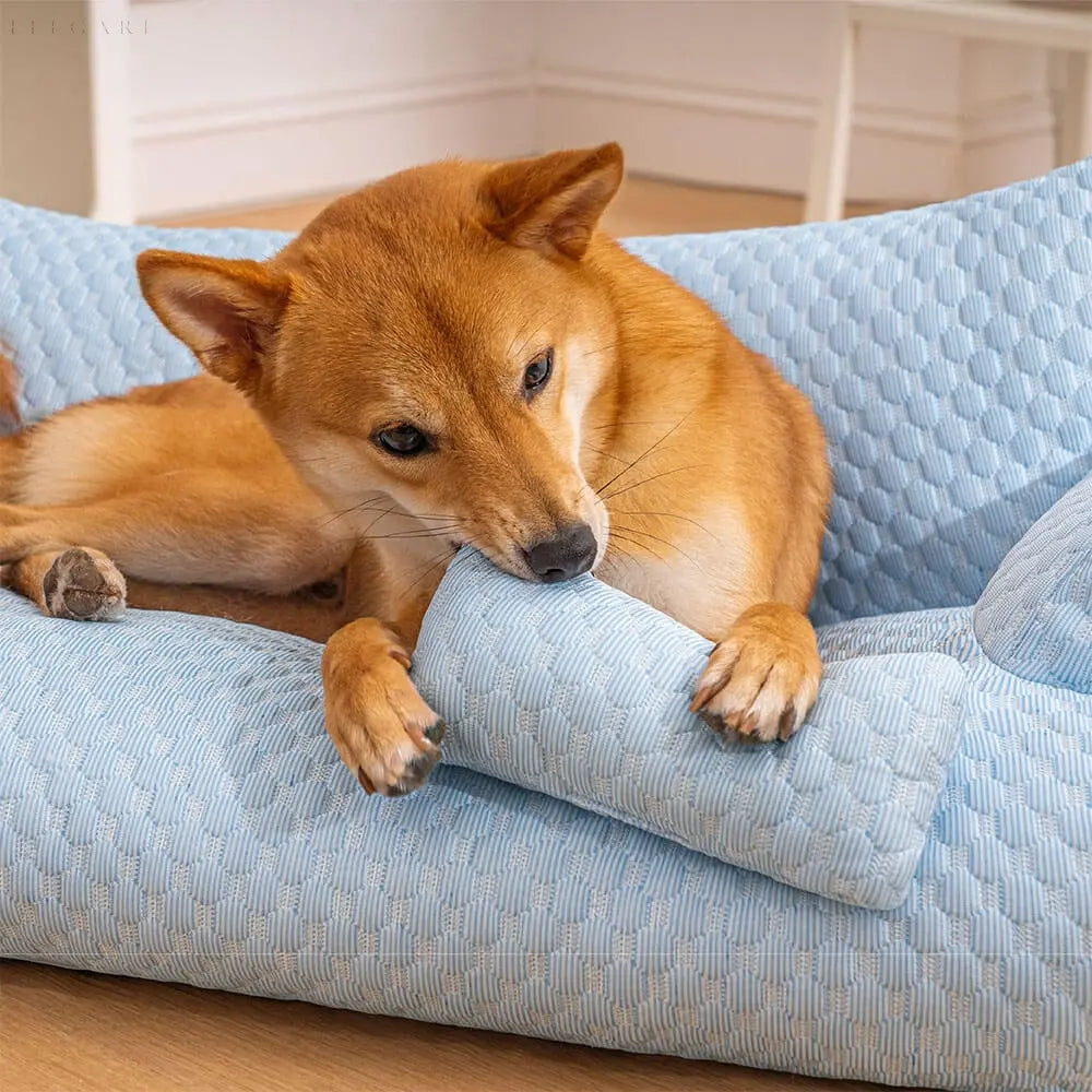 Avtoit | Washable Plush Pet Cushion Bed - CozyPaws