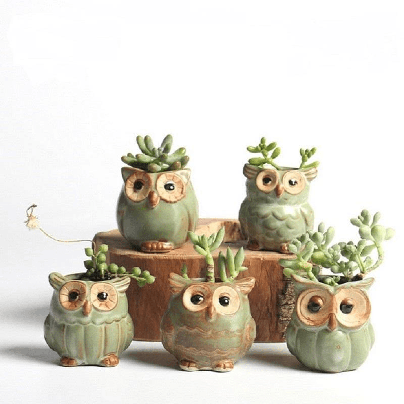 Avtoit | Owls Ceramic Flower Pot Set 5-piece