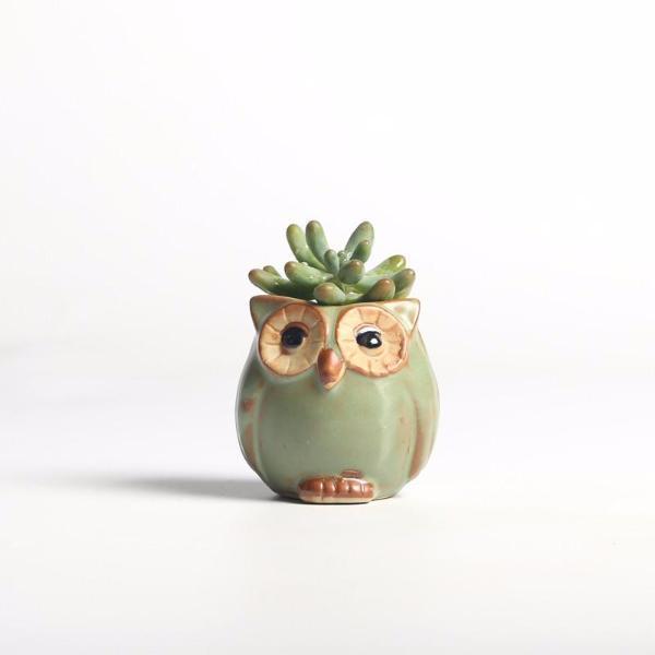 Avtoit | Owls Ceramic Flower Pot Set 5-piece
