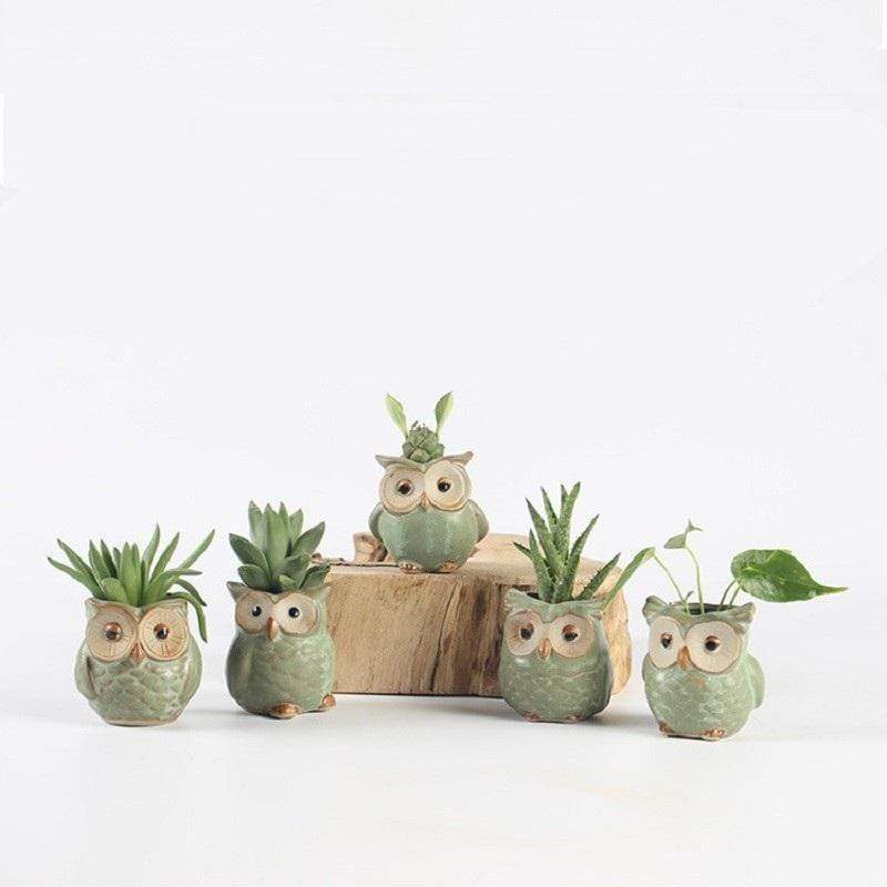 Avtoit | Owls Ceramic Flower Pot Set 5-piece
