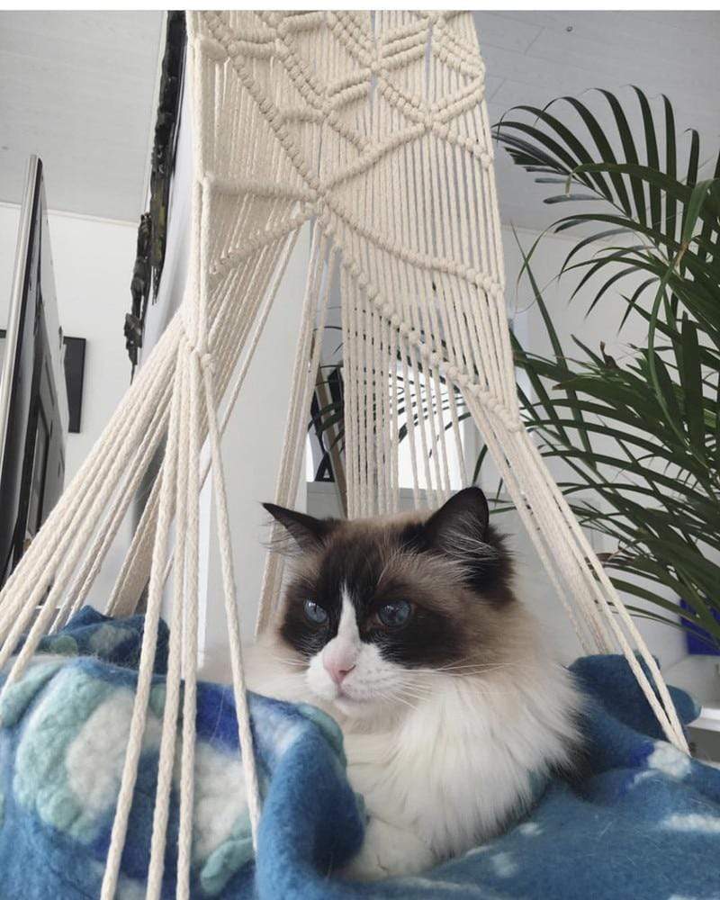 Avtoit | Macrame Wall Hanging Cat Bed